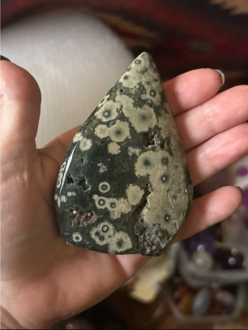 8th Vein Ocean Jasper Freeform